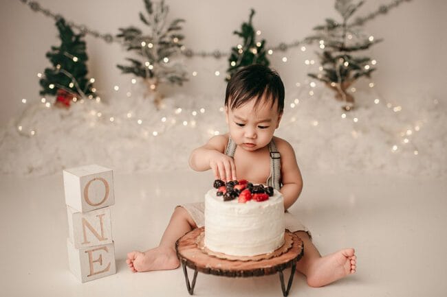 first birthday portraits markham