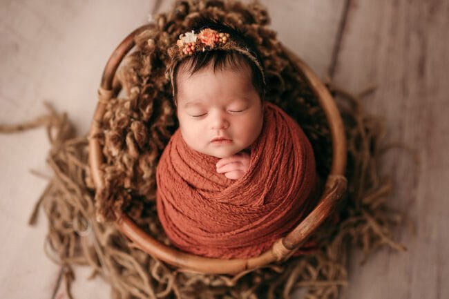 newborn photographers york region