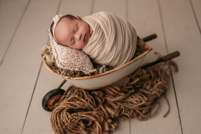 toronto newborn photographers