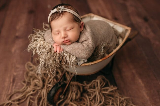 york region newborn photos