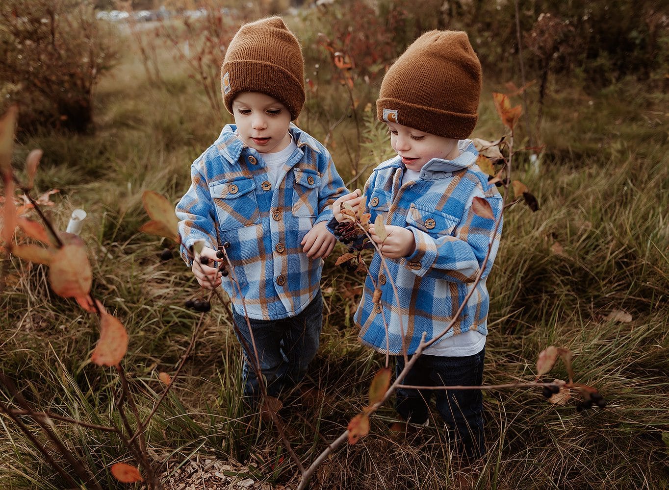 toronto family photography featured gallery stephanie