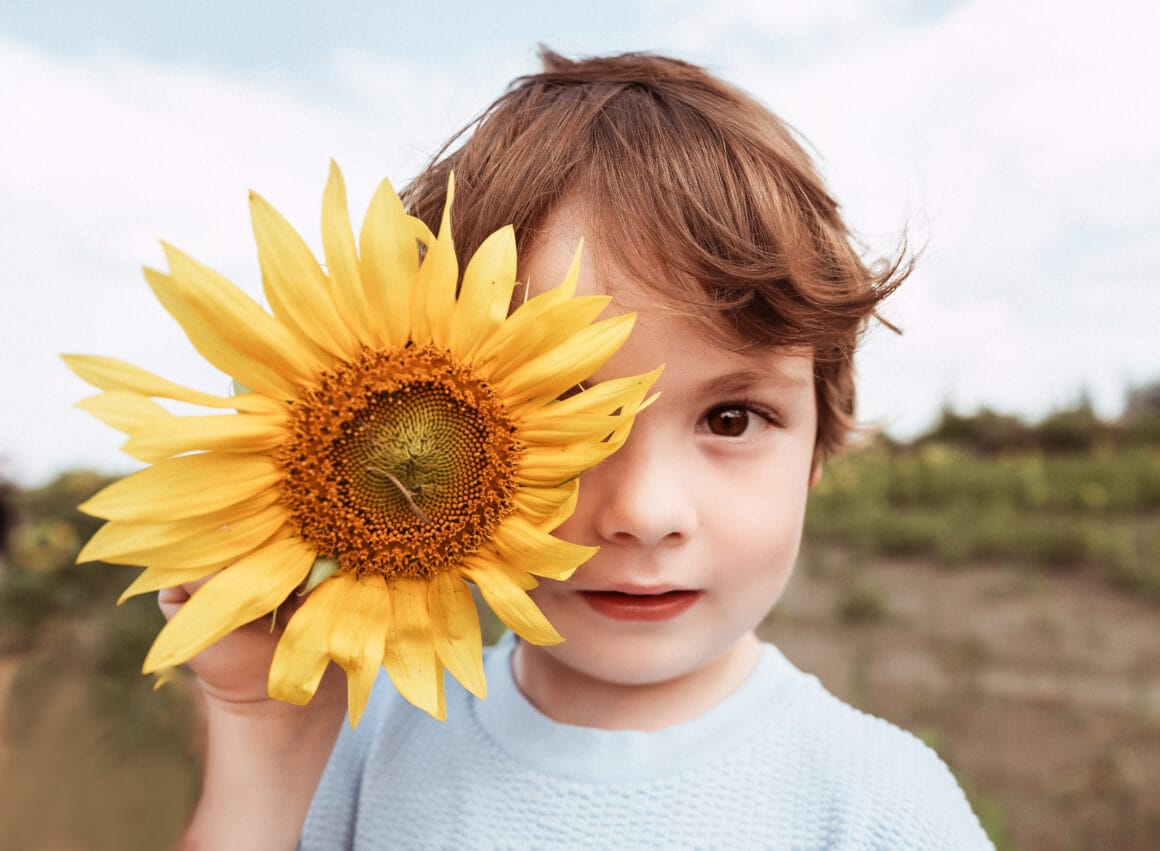 sunflower field mini session Markham